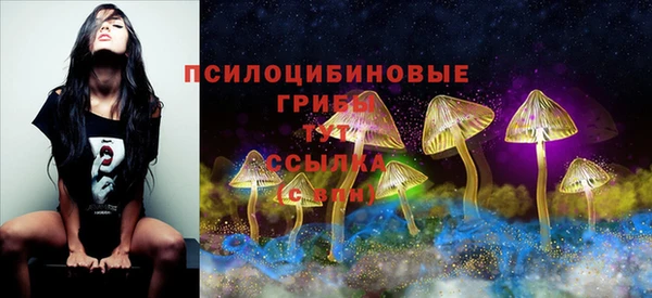 a pvp Алексин