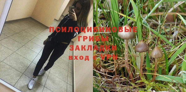 ALPHA PVP Алексеевка