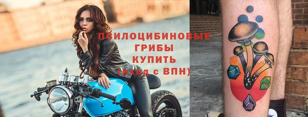 скорость Алзамай